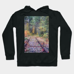 Track Trough Autumn Hoodie